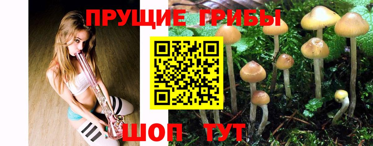 Псилоцибиновые грибы Psilocybe Салават